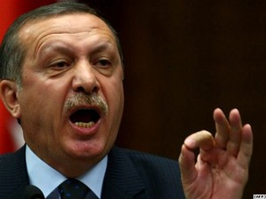 Turkish Prime Minister Recep Tayyip Erdogan (AFP)