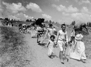 Over 700,000 Arabs were ethnically cleansed from Palestine in 1948-49.