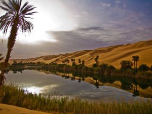 A Libyan oasis
