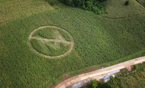 An anti-Monsanto crop circle made by local farmers and Greenpeace volunteers in the Philippines. (Photo: Melvyn Calderon / Greenpeace / AP)