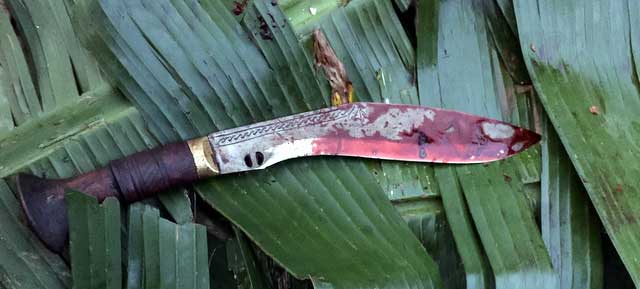 Nepal’s famous khukuri blade soaked in sacrificial lifeblood (Photo: Alonzo Lyons)