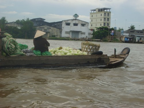 Coconuts, Coffee and Close Calls on the Mekong Delta