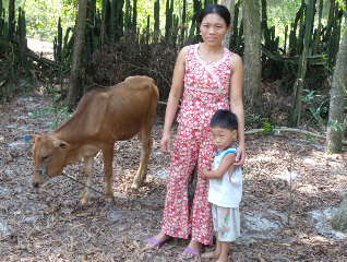 Over the Moon for Orange Cows: Easing the Plight of Vietnamese Farmers