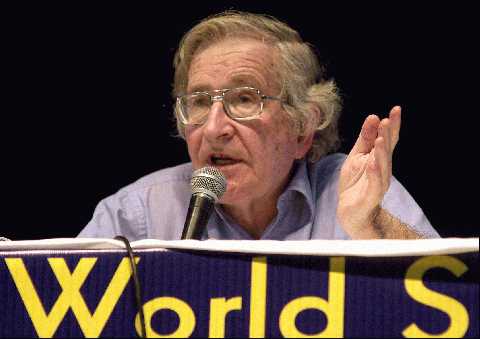 Criticism of Chomsky: Asset or Liability?