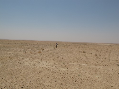 Der Zor Diary: A Pilgrimage to the Killing Fields of the Armenian Genocide