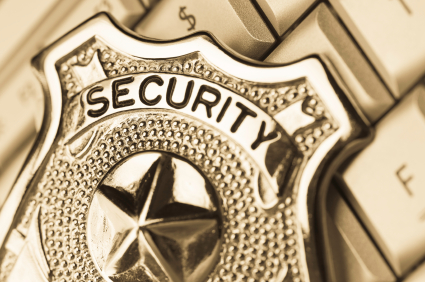 The Cyber Fortress Mentality