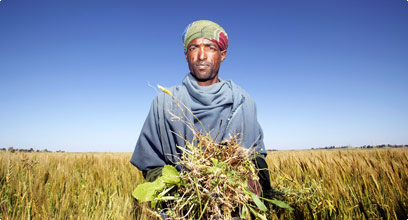 Monetization: An Impractical Policy