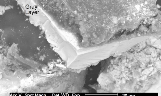 Interview with Dr. Niels Harrit on Discovery of Nano-Thermite in WTC Dust