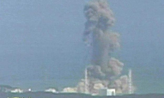 Learning from Disaster? After Sendai