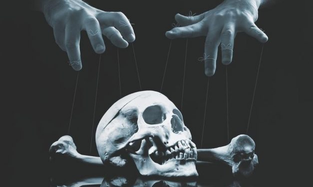 Review: “Revolution From Above: Manufacturing ‘Dissent’ in the New World Order”