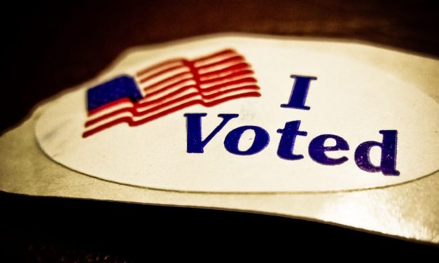 The Citizen’s Dilemma: Why Do We Vote?