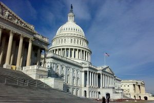 The US Capitol building in Washington, D.C. (Bjoertvedt/Wikimedia Commons)