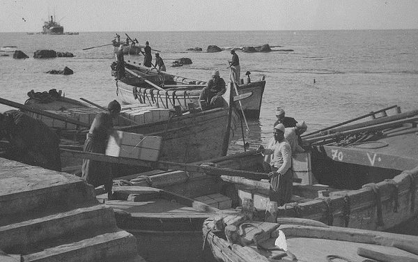 66 Year Nakba: I Saw Yafa, Land of Oranges