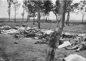 "THOSE WHO FELL BY THE WAYSIDE. Scenes like this were common all over the Armenian provinces, in the spring and summer months of 1915. Death in its several forms---massacre, starvation, exhaustion---destroyed the larger part of the refugees. The Turkish policy was that of extermination under the guise of deportation" -- Photo and caption from the autobiography of Henry Morgenthau, Sr., who was US ambassador to the Ottoman Empire.