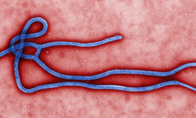 Obama Fights Ebola with a Czar and Soldiers
