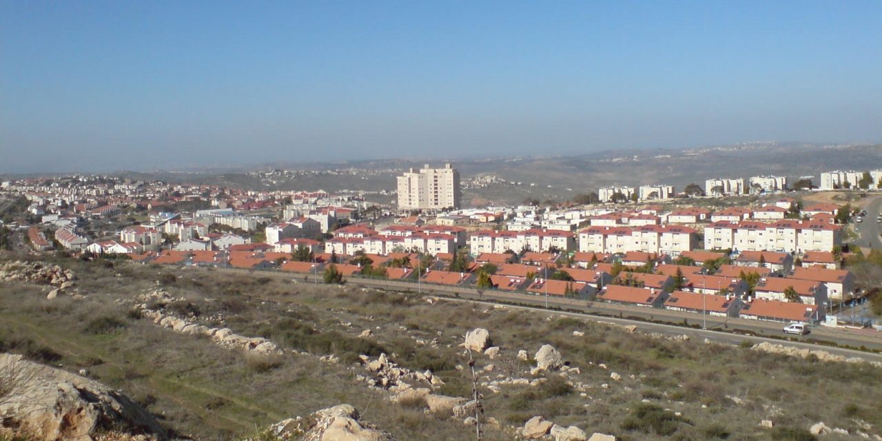 The Elephant in the Room: The Origin of Modern Terror and Crumbling Western Values