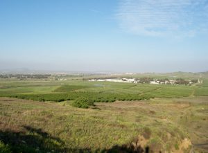 A Syrian landscape. Photo courtesy of the author.