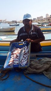 Suhail Fadel unloads his catch.