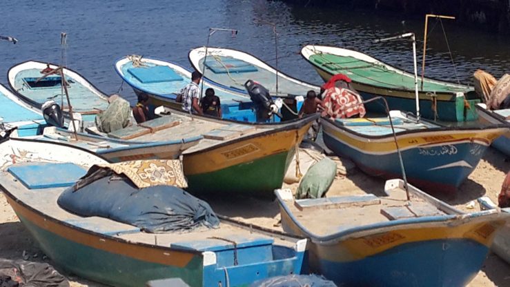 Boats at the port.