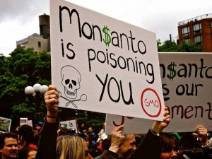 Activists protest the crony capitalist food industrial complex epitomized by the corporate giant Monsanto and its GMO products. (Waywuwel/CC BY-ND 2.0)