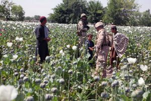 An American soldier greets local children in a poppy field in Helmand province, Afghanistan, May 8, 2011 (ISAF)