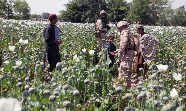 The Drug Trade in Afghanistan: Understanding Motives behind Farmers’ Decision to Cultivate Opium Poppies