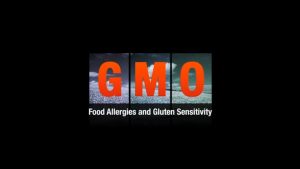 GMO Food Allergies and Gluten Sensitivity: Jeffrey Smith