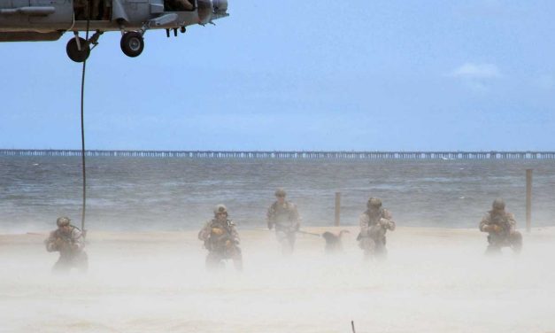 A Homeland Is a Country That Allows Domestic Use of Military