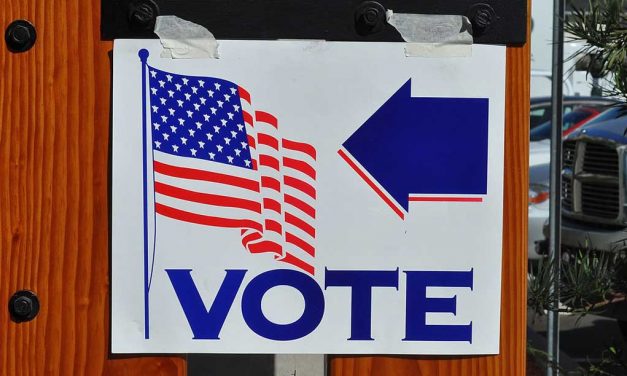 None of the Above: The US Presidential Election and Who Not to Vote For