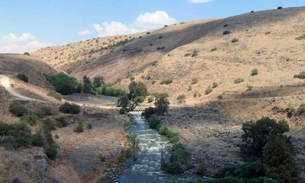 Palestine’s ‘Prayer for Rain’: How Israel Uses Water as a Weapon of War