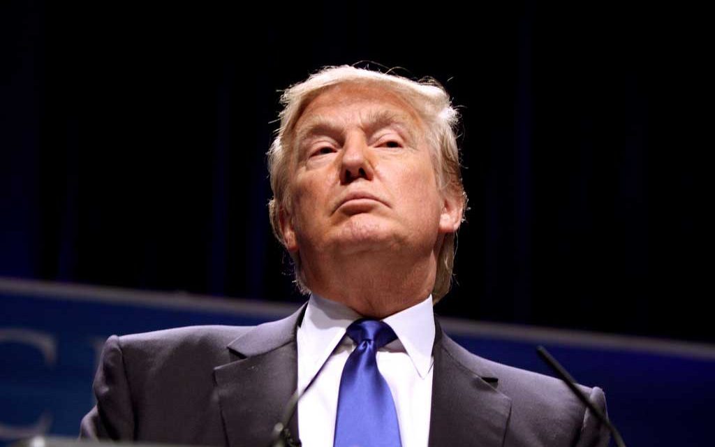 The Trump Enigma: Is Trump Draining or Replenishing the Washington Swamp?