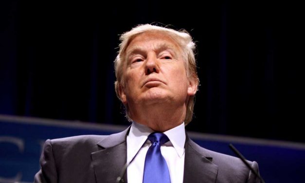 The Trump Enigma: Is Trump Draining or Replenishing the Washington Swamp?