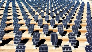 The March of Renewable Energy Is Unstoppable, Even by President Trump Solar panels