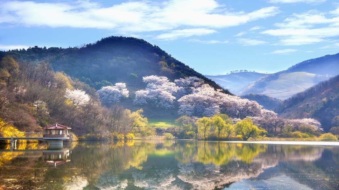 Peace Comes to Korea: Let’s Understand Why