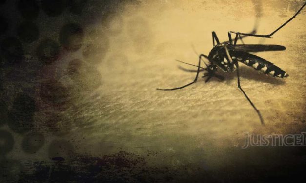 Ministry Declares Health Emergency in Yemen: Malaria and Dengue Fever on the Rise