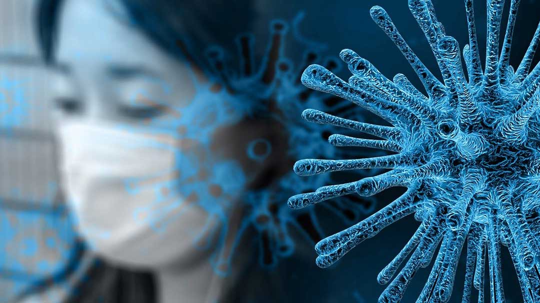 Toward Virus Crossroads?