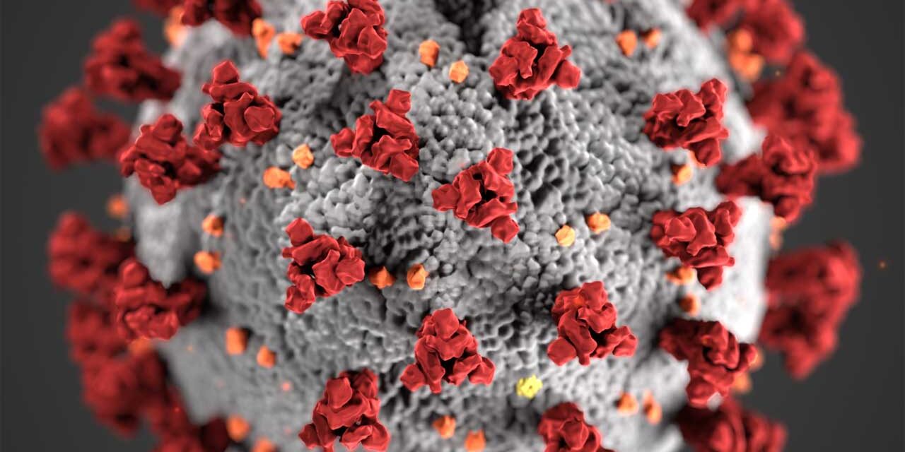 SARS-CoV-2 Response: Where Do We Go from Here? (Introduction)