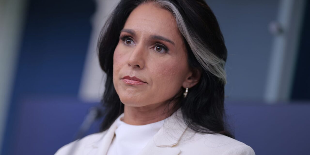 Roger Stone Steps In to Save Tulsi Gabbard’s Job as White House Tensions Over Iran War Reach a Boil