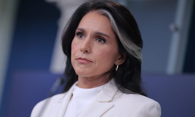 Roger Stone Steps In to Save Tulsi Gabbard’s Job as White House Tensions Over Iran War Reach a Boil