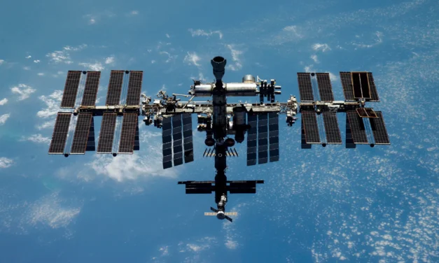 Redwire (NYSE: RDW) Secures Historic Commercial Space Greenhouse Contract To Grow Strawberries On The ISS