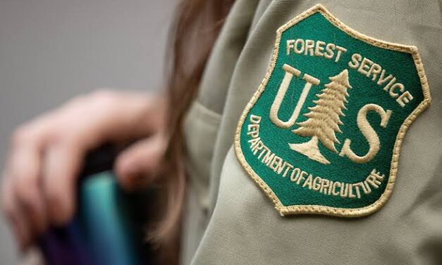 U.S. Forest Service Claims Full Staffing As Western Wildfires Tear Through Populated Areas