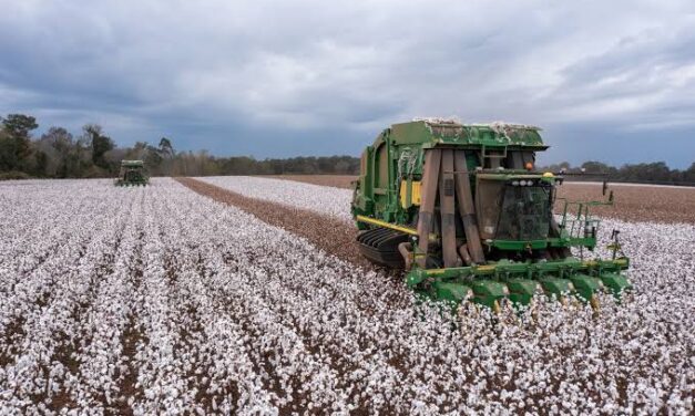 Cotton Futures End The Week In Mixed Territory As Export Sales Slip