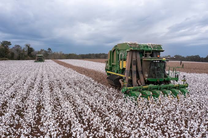 Cotton Futures End The Week In Mixed Territory As Export Sales Slip